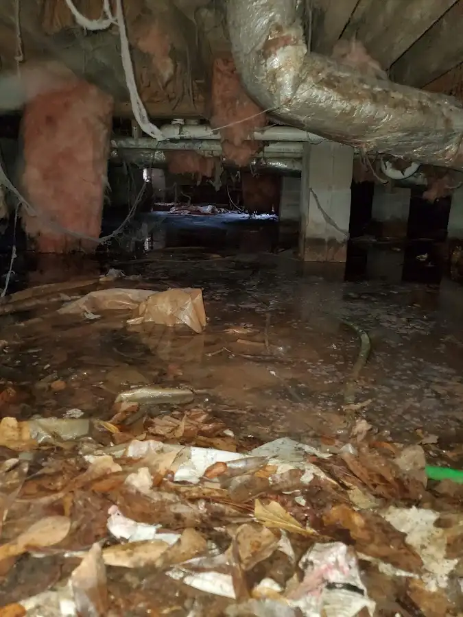 Crawl space flood assessment for Commercial Water Damage Restoration in Woodway